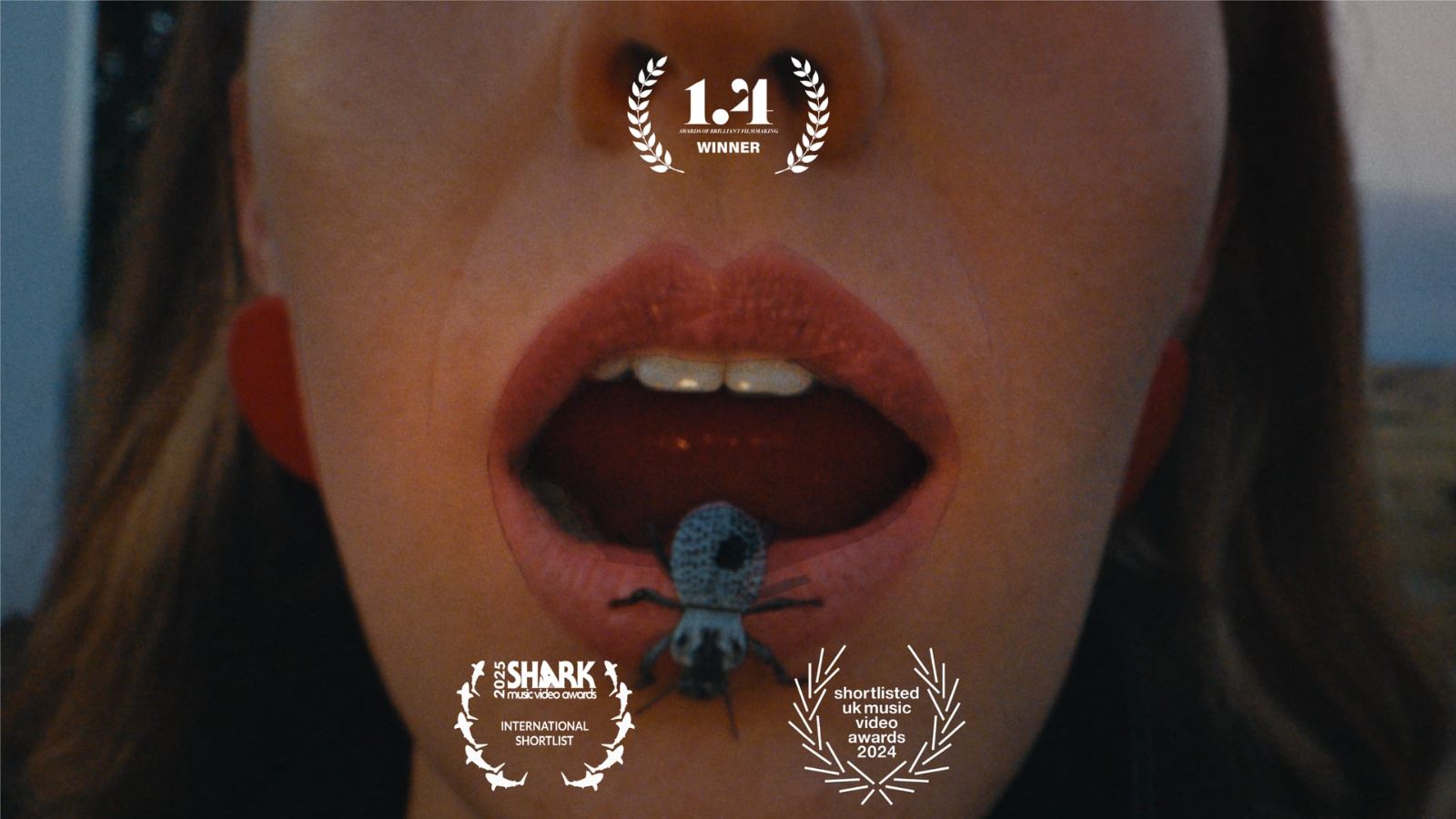 Beetlebugs — music video poster, Flux Festival Select & Presentation